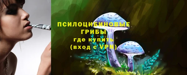 MESCALINE Баксан