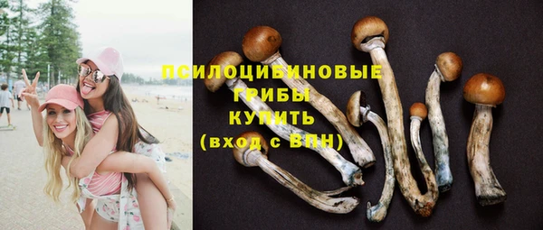 мяу мяу мука Белоозёрский