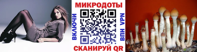 Галлюциногенные грибы мицелий  Фёдоровский 